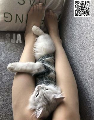 青青草乐园在线观看-完整版免费高清观看